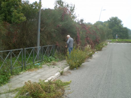  27/10/2013  Pulizia del parco