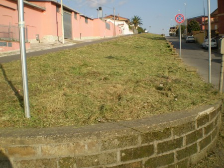 Gestire e creare un' area verde in via andria